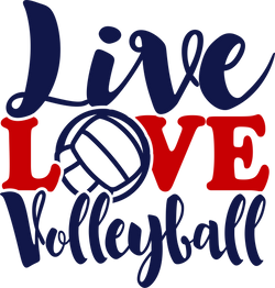 Live Love Volleyball Hoodie